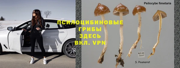 ГАЛЛЮЦИНОГЕННЫЕ ГРИБЫ Алексеевка