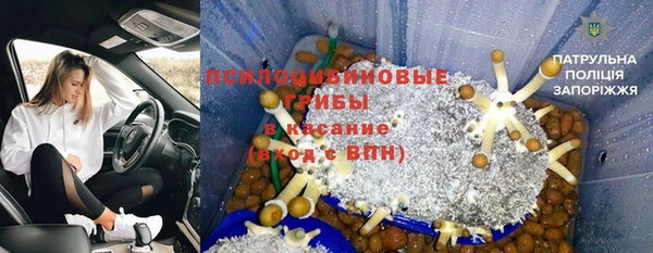 таблы Алзамай