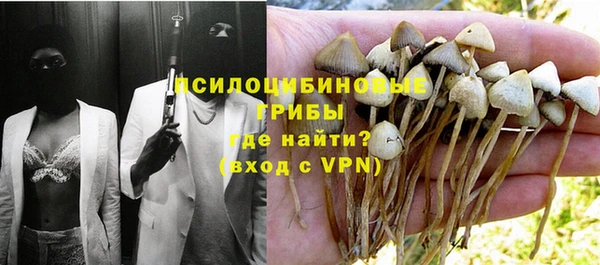 ГАЛЛЮЦИНОГЕННЫЕ ГРИБЫ Алексеевка