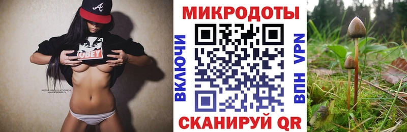 Галлюциногенные грибы MAGIC MUSHROOMS  Купить где  Верхний Тагил 